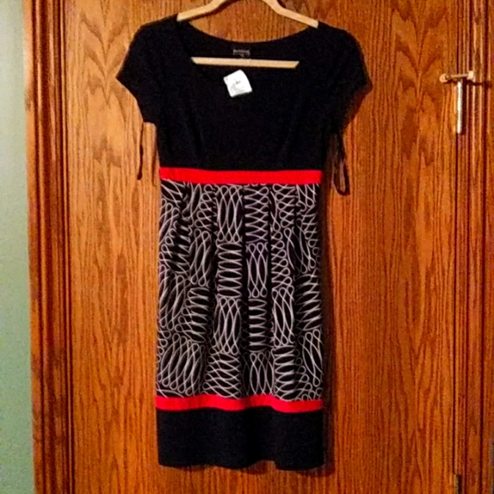 NWT En Focus Studio Dress